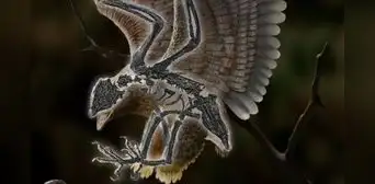 Hallan en China un extraño fósil con cuerpo de ave y cabeza idéntica a la del T. Rex Hallan en China un extraño fósil con cuerpo de ave y cabeza idéntica a la del T. Rex