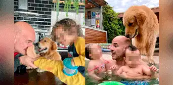 Ricardo Morán: ¿qué pasará con su perro Chewbacca que dejó en Perú tras él mudarse a EE.UU?