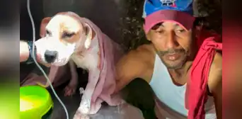 Rescatan a una perrita que era abusada por un vecino y maltratada por sus dueños Rescatan a una perrita que era abusada por un vecino y maltratada por sus dueños