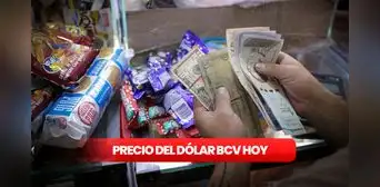 Precio del dólar BCV HOY, martes 24 de enero, según el Banco Central de Venezuela Precio del dólar BCV HOY, martes 24 de enero, según el Banco Central de Venezuela