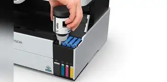 ¿La tinta de tu impresora se puede secar si no imprimes durante varios meses? ¿La tinta de tu impresora se puede secar si no imprimes durante varios meses?