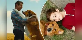 Netflix hace llorar a miles con película que conmueve a amantes de los animales: ¿de qué trata? Netflix hace llorar a miles con película que conmueve a amantes de los animales: ¿de qué trata?