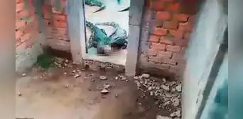 Niña de 2 años fue devorada por cocodrilos que criaba su padre [VIDEO]