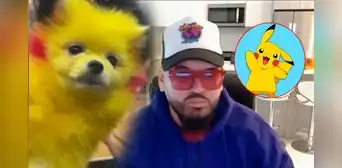 Hombre es multado luego de que pintara a su perro para que luzca como Pikachu Hombre es multado luego de que pintara a su perro para que luzca como Pikachu