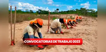 ¿Eres bachiller o titulado? Sernanp ofrece empleos en 6 regiones con hasta S/11.000 de sueldo ¿Eres bachiller o titulado? Sernanp ofrece empleos en 6 regiones con hasta S/11.000 de sueldo