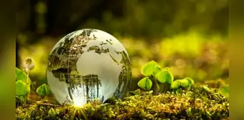 Día Mundial del Medio Ambiente: ¿Cómo concientizar a los niños sobre la importancia de esta fecha? Día Mundial del Medio Ambiente: ¿Cómo concientizar a los niños sobre la importancia de esta fecha?