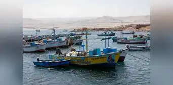 Produce sigue sin emitir los lineamientos para formalizar a la flota pesquera del norte