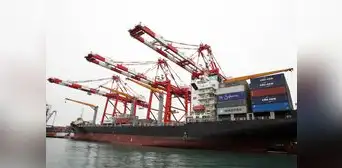 Agroexportaciones habrían perdido casi US$300 millones Agroexportaciones habrían perdido casi US$300 millones