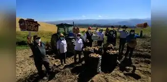 FAO declarará el 30 de mayo como el Día Mundial de la Papa FAO declarará el 30 de mayo como el Día Mundial de la Papa