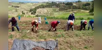 Alex Contreras: "Derogación de la Ley de promoción agraria fue nefasta para la agroexportación" Alex Contreras: "Derogación de la Ley de promoción agraria fue nefasta para la agroexportación"
