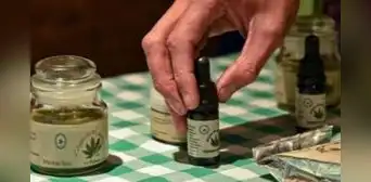 ¡Desde 30 soles! Estos son los lugares donde puedes comprar cannabis medicinal ¡Desde 30 soles! Estos son los lugares donde puedes comprar cannabis medicinal