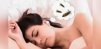 ¿Qué significa soñar con piojos?