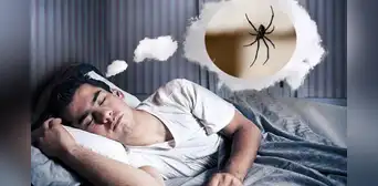 ¿Qué significa soñar con arañas? ¿Será una mala señal? ¿Qué significa soñar con arañas? ¿Será una mala señal?