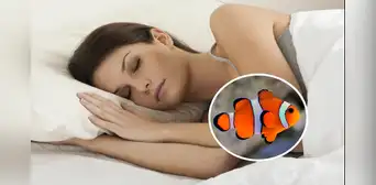 ¿Qué significa soñar con peces? ¿Tendrá un significado especial? ¿Qué significa soñar con peces? ¿Tendrá un significado especial?