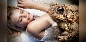 ¿Qué significa soñar con sapos y ranas? ¿Es un bueno o malo? ¿Qué significa soñar con sapos y ranas? ¿Es un bueno o malo?
