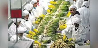 Aporte de agroexportadoras a EsSalud volverá a ser 6% desde el 1 de enero de 2024 Aporte de agroexportadoras a EsSalud volverá a ser 6% desde el 1 de enero de 2024
