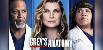 Ver “Grey’s anatomy″ ONLINE GRATIS: ¿en qué streaming está la serie tras abandonar Prime Video? Ver “Grey’s anatomy″ ONLINE GRATIS: ¿en qué streaming está la serie tras abandonar Prime Video?