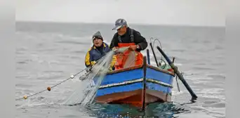 Bono de S/500 a pescadores artesanales se aprobaría este miércoles 8 de febrero Bono de S/500 a pescadores artesanales se aprobaría este miércoles 8 de febrero