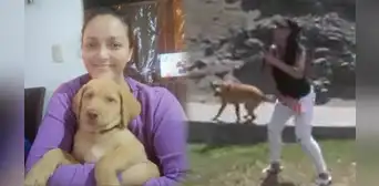 Mariella Zanetti, halagada por su lujosa casa, reclama atención para su mascota: “¿Y mi perro?” Mariella Zanetti, halagada por su lujosa casa, reclama atención para su mascota: “¿Y mi perro?”