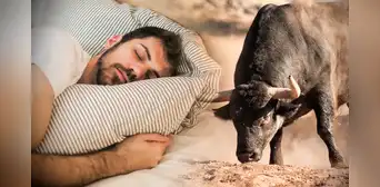 Significado de soñar con toros: ¿es un mal presagio o no?