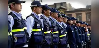Gobierno observó la ley que autoriza el uso de armas no letales Gobierno observó la ley que autoriza el uso de armas no letales