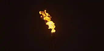 La OPEP recorta la producción mundial de petróleo y el barril se dispara por encima de US$80 La OPEP recorta la producción mundial de petróleo y el barril se dispara por encima de US$80