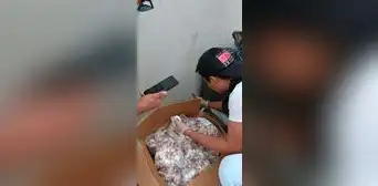 PNP encuentra 486 kilos de cocaína camuflada en playa de Tumbes PNP encuentra 486 kilos de cocaína camuflada en playa de Tumbes