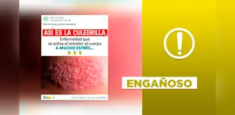 Es engañoso afirmar que la enfermedad denominada “culebrilla” se activa por cuadros de estrés Es engañoso afirmar que la enfermedad denominada “culebrilla” se activa por cuadros de estrés