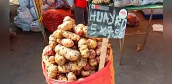 ¿Cuáles son las variedades de papa más consumidas del Perú?