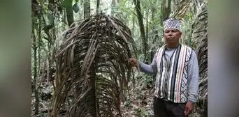 Pueblos indígenas en aislamiento y contacto inicial en riesgo por culpa de minería y tala