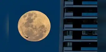 Superluna de ciervo 2022: así se vio la luna llena más grande y brillante del año Superluna de ciervo 2022: así se vio la luna llena más grande y brillante del año