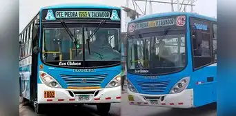 Los Chinos: ¿por qué se le dice así a la popular empresa de transporte urbano de Lima?
