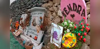 ¿Sabías que hay un cementerio de mascotas en Lima? Conoce dónde se encuentra ¿Sabías que hay un cementerio de mascotas en Lima? Conoce dónde se encuentra