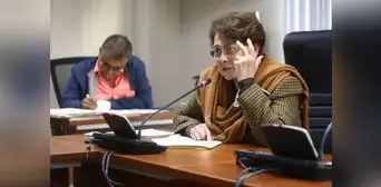 Gladys Echaíz: fue un error que el Congreso consultara al TC por artículo 117 de la Constitución Gladys Echaíz: fue un error que el Congreso consultara al TC por artículo 117 de la Constitución