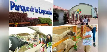 Zoológicos en Lima: ¿cuáles puedo ir a visitar por Fiestas Patrias?