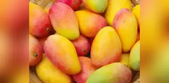 Fenómeno El Niño: agricultura seguirá afectada en el norte Fenómeno El Niño: agricultura seguirá afectada en el norte
