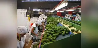 Congreso frena Ley Chlimper 2.0 y la envía a un mayor análisis técnico con MEF y Sunat Congreso frena Ley Chlimper 2.0 y la envía a un mayor análisis técnico con MEF y Sunat
