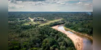 Ley Forestal: especialistas alertaron que reformas a norma alientan la deforestación Ley Forestal: especialistas alertaron que reformas a norma alientan la deforestación