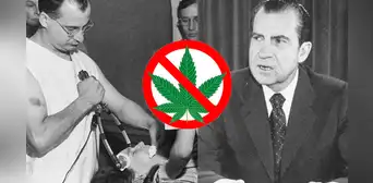 ¿Por qué se declaró a la marihuana como ilegal?