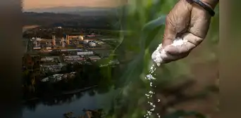 Una planta de urea en el Perú: ¿qué se necesita para producir este fertilizante en el país?