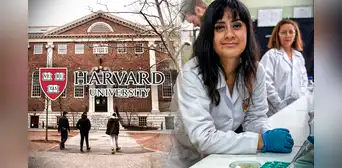 ¿Cómo postular a Harvard y estudiar un posgrado gratis con una beca de Pronabec?