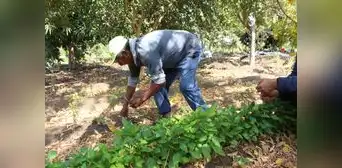 Más de 115.000 agricultores se dedican a la producción orgánica Más de 115.000 agricultores se dedican a la producción orgánica