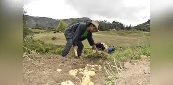 Gobierno dirige S/1.100 millones para la reactivación del agro Gobierno dirige S/1.100 millones para la reactivación del agro