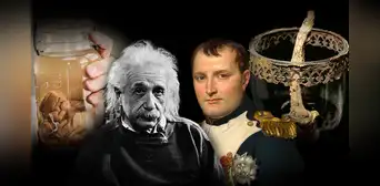 El pene de Napoleón y el cerebro de Einstein: los tesoros más raros que guarda la historia