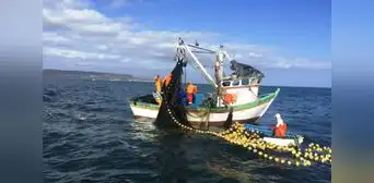 INEI: Pesca y consumo interno de cemento cerraron el 2022 con pérdidas