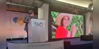 Presentan al cacao de Jaén y San Ignacio en Foro Mundial de Alimentación en Roma Presentan al cacao de Jaén y San Ignacio en Foro Mundial de Alimentación en Roma