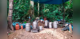 Extensión de cultivos de hoja de coca para narcotráfico subió 18% Extensión de cultivos de hoja de coca para narcotráfico subió 18%