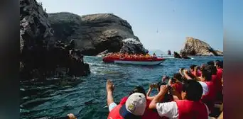 Paracas: visitas a islas Ballestas se reanudan tras suspensión por oleajes anómalos