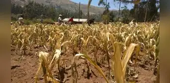 Sequías e inundaciones le cuestan al Perú hasta US$13.400 millones al año, según el Banco Mundial Sequías e inundaciones le cuestan al Perú hasta US$13.400 millones al año, según el Banco Mundial