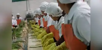 Perú se destaca por su prudencia fiscal y manejo de niveles de deuda, según el BID